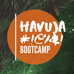Havuja#!@%&! Bootcamp -intensiivikurssi